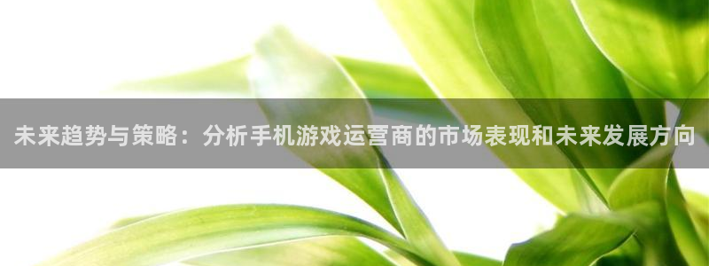 多彩娱乐登陆地址：未来趋势与策略：分析手机游戏运营商的市场表