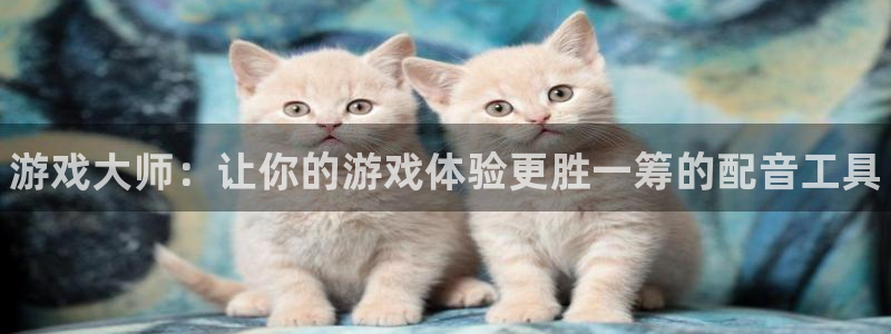 多彩娱乐官方登录网址：游戏大师：让你的游戏体验更胜一筹的配音