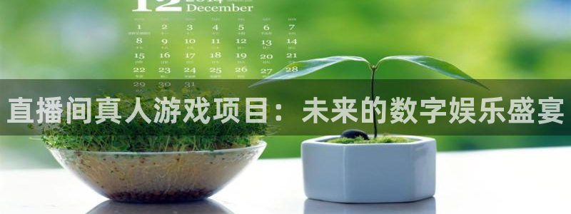 手机多彩娱乐下载安装：直播间真人游戏项目：未来的数字娱乐盛宴