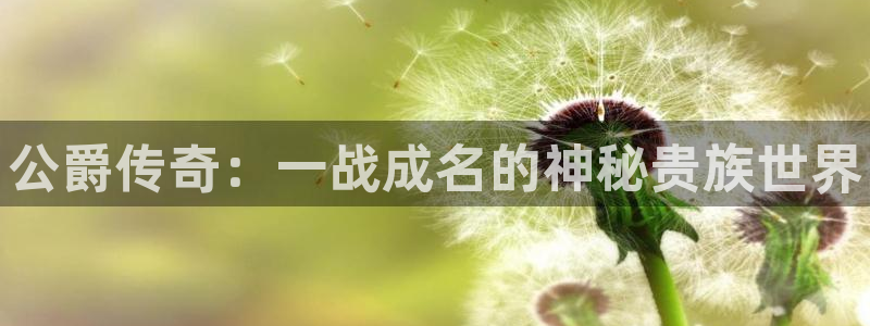 多彩娱乐注册账号：公爵传奇：一战成名的神秘贵族世界