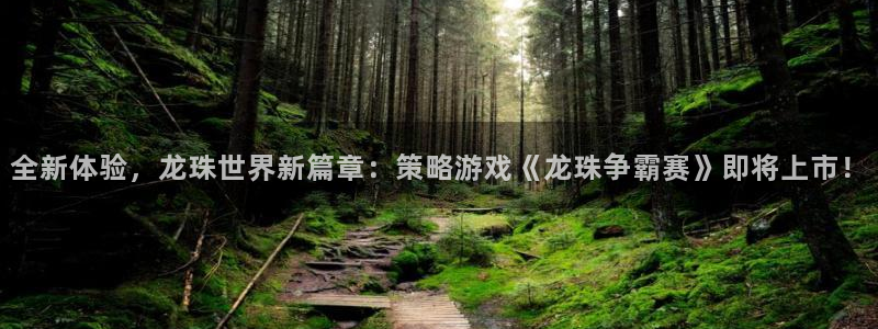 多彩娱乐app：全新体验，龙珠世界新篇章：策略游戏《龙珠争霸