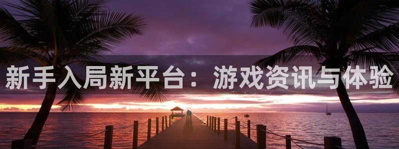 多彩娱乐主管：新手入局新平台：游戏资讯与体验