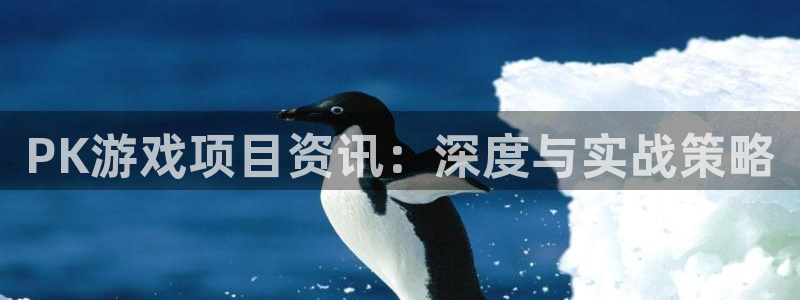 多彩娱乐Ii：PK游戏项目资讯：深度与实战策略