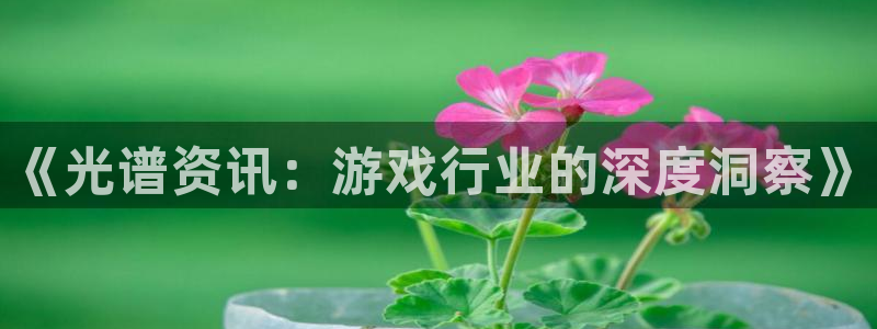 多彩娱乐科技：《光谱资讯：游戏行业的深度洞察》