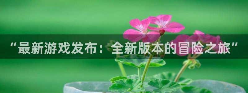 多彩娱乐注册账号：“最新游戏发布：全新版本的冒险之旅”